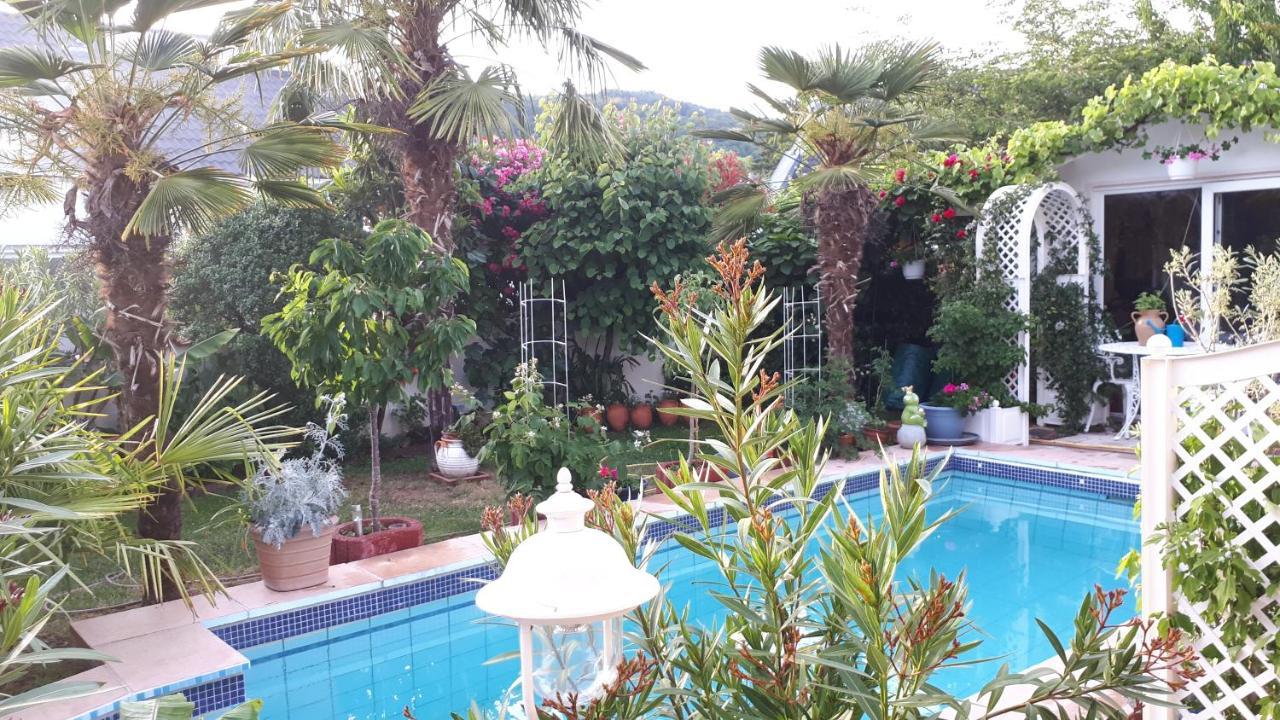 Nala Ii Appartement
